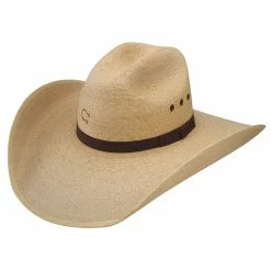Charlie 1 Horse Maverick 4 1/2in. Palm Leaf Hat