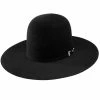 Resistol 20X Black Gold 4 /4in. Brim Open Crown Felt Cowboy Hat
